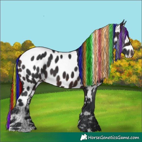 Horse Color:Painted Brown Leopard 