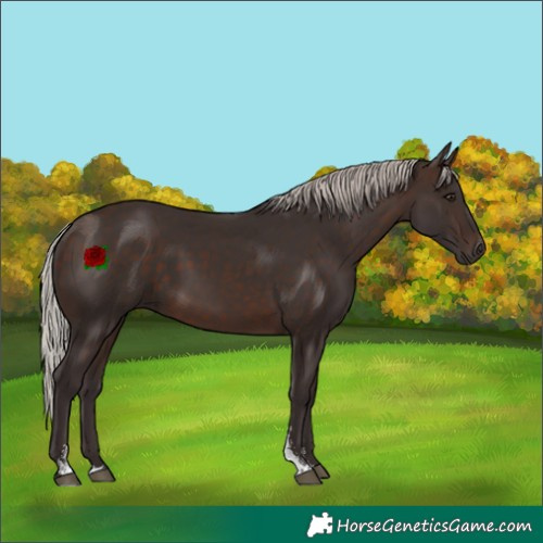 Horse Color:Silver Brown Sabino