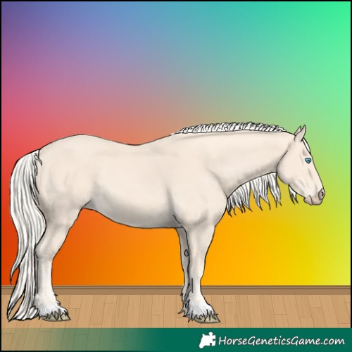 Horse Color:Cremello