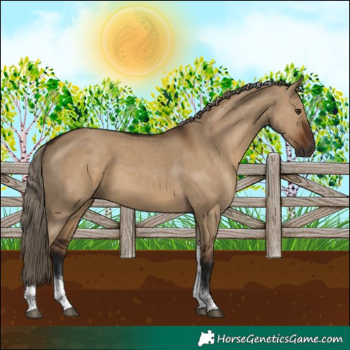 Horse Color:Gray Liver Red Dun Tobiano