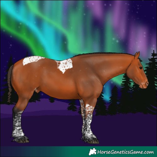 Horse Color:Bay Tobiano Varnish 