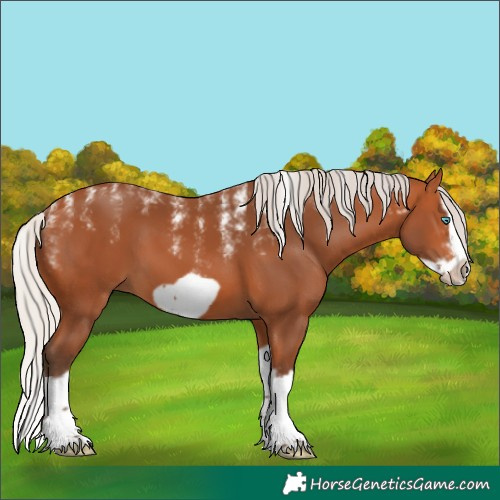 Horse Color:Unknown