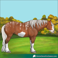 Horse Color:Powder White Silver Bay Splash Frame 