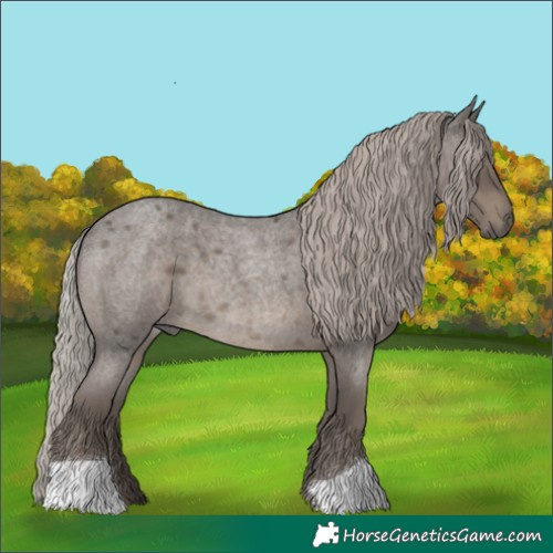 Horse Color:Silver Blue Roan 