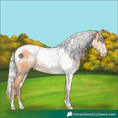 Horse Color:White Spotted Silver Amber Champagne Skewed LP Spotted