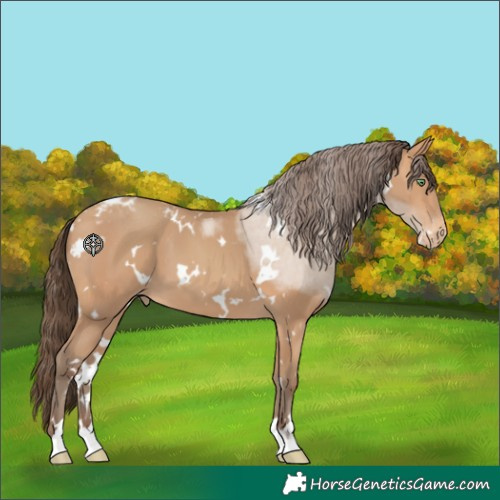 Horse Color:White Spotted Amber Champagne Skewed LP Spotted 