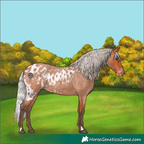 Horse Color:Silver Bay Roan Skewed LP Spotted