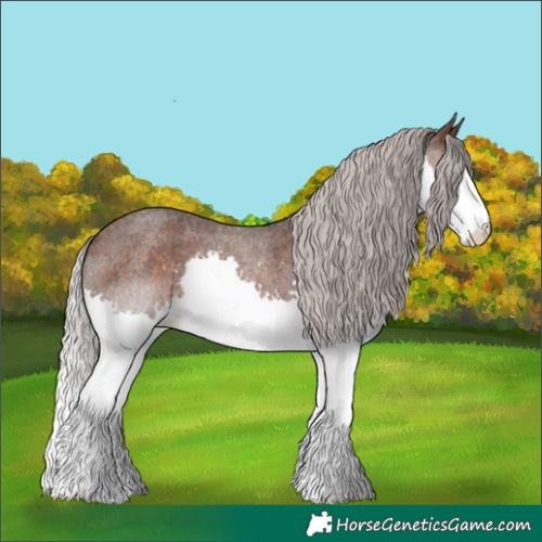 Horse Color:Silver Brown Roan Splash