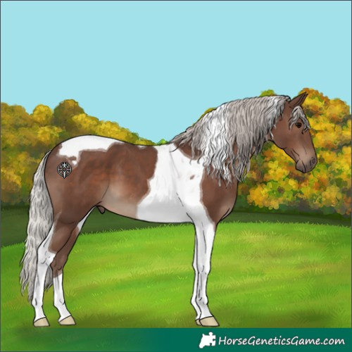 Horse Color:Silver Black Tobiano 