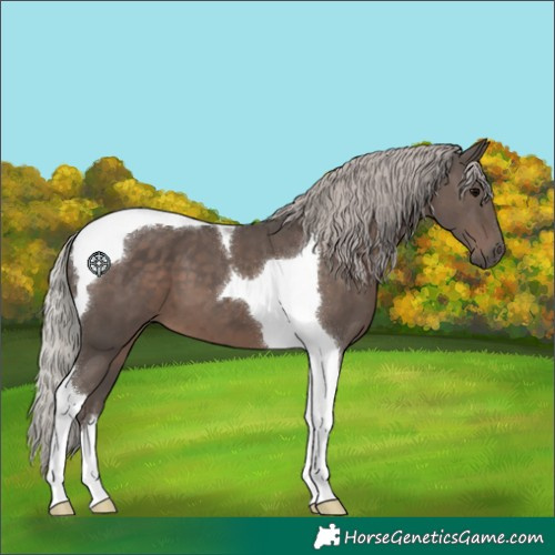 Horse Color:Silver Black Tobiano 