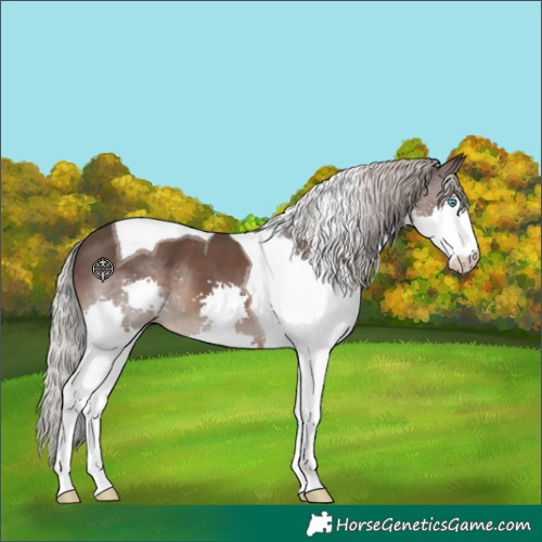 Horse Color:Silver Black Splash Tobiano 