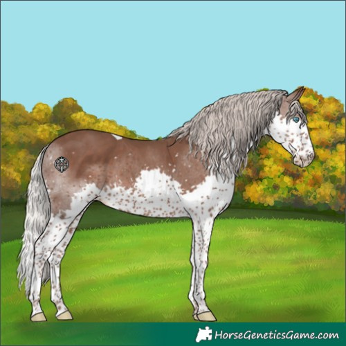 Horse Color:Silver Black Splash Tobiano