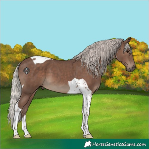 Horse Color:Silver Black Tobiano