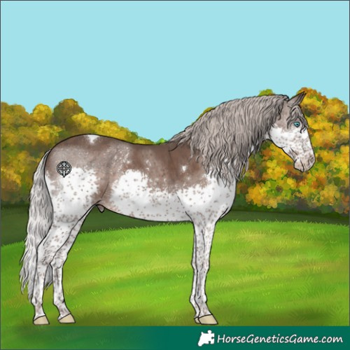 Horse Color:Silver Black Splash Tobiano