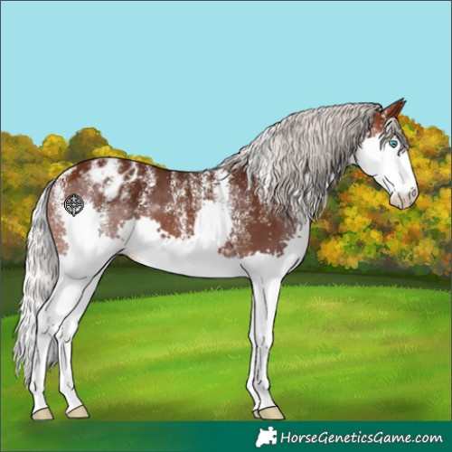 Horse Color:Powder White Silver Brown Splash Varnish 