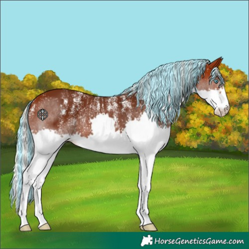 Horse Color:Powder White Painted Silver Brown Splash