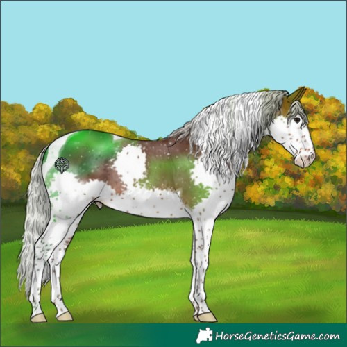 Horse Color:Silver Brown Splash Tobiano