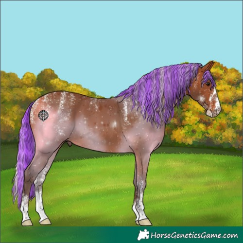 Horse Color:Powder White Painted Silver Brown