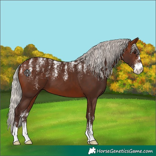 Horse Color:Powder White Silver Brown 