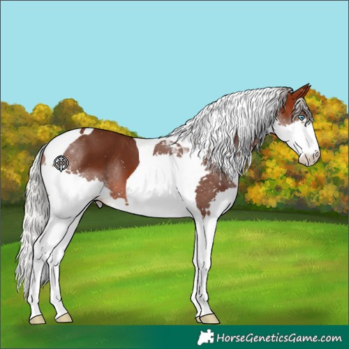 Horse Color:Silver Brown Splash Tobiano