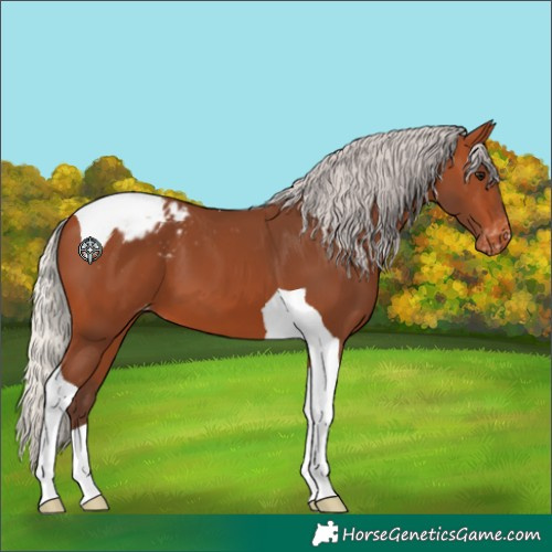 Horse Color:Silver Bay Tobiano Varnish 
