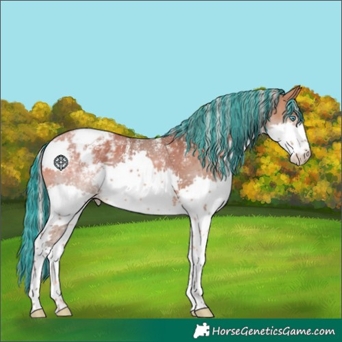Horse Color:Powder White Painted Silver Bay Splash Varnish