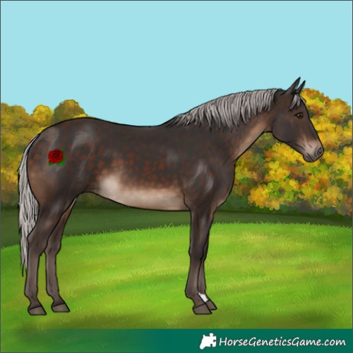 Horse Color:Silver Brown 