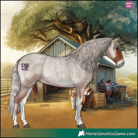 Horse Color:Silver Blue Onyx Roan