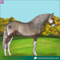Horse Color:Silver Blue Onyx