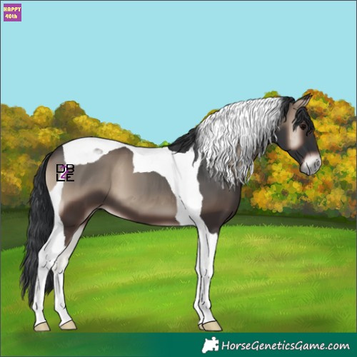 Horse Color:Blue Onyx Tobiano 