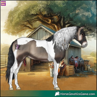 Horse Color:Blue Onyx Tobiano 