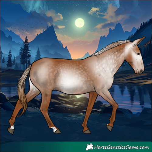 Horse Color:Gray Chestnut