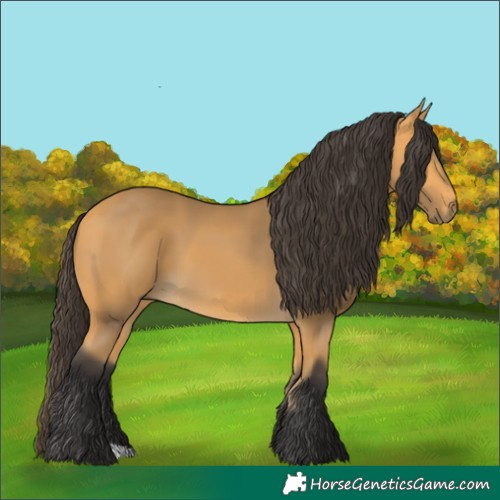 Horse Color:Buckskin