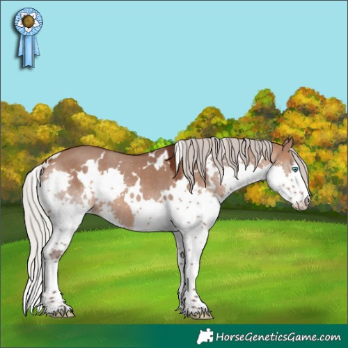 Horse Color:White Spotted Silver Brown Dun Splash