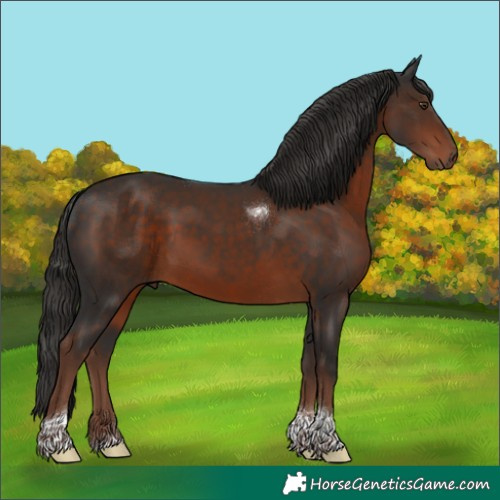 Horse Color:Liver Chestnut Tobiano 