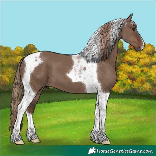 Horse Color:Liver Red Dun Tobiano 