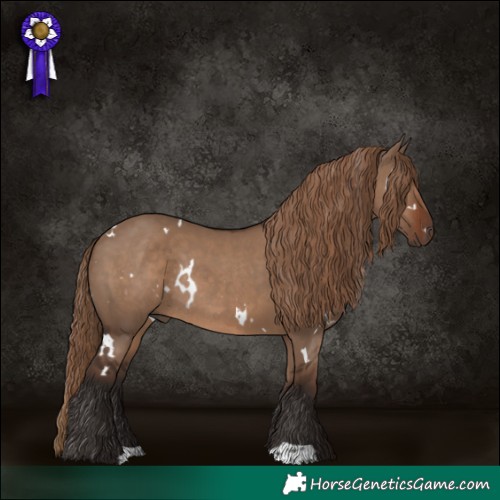 Horse Color:White Spotted Liver Red Dun Rabicano