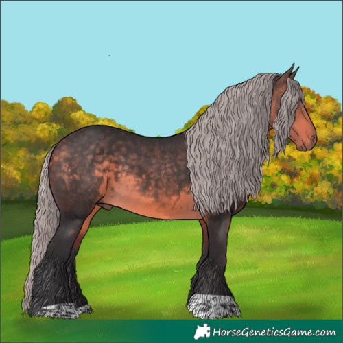Horse Color:Silver Buckskin