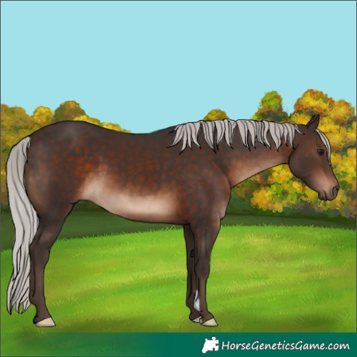 Horse Color:Silver Brown 