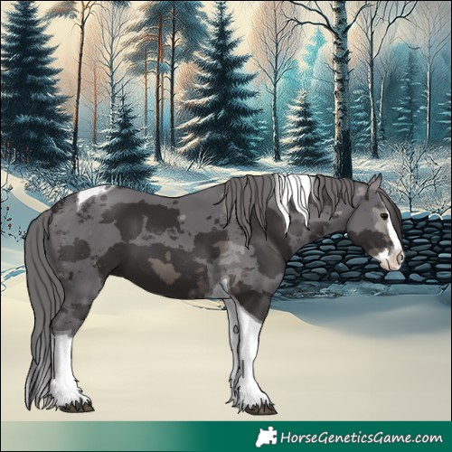 Horse Color:Smoky Black Merle Splash Tobiano 