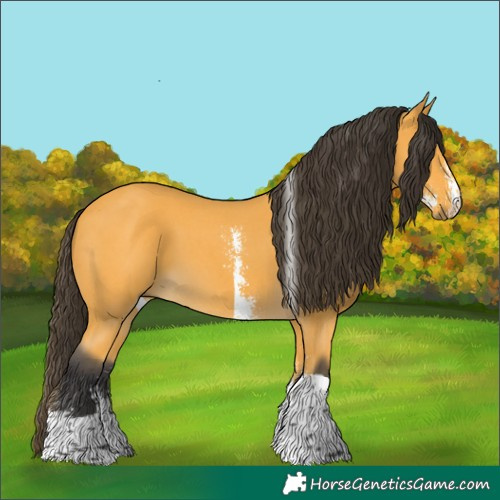 Horse Color:Unknown 