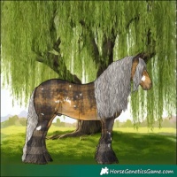 Horse Color:Plaid White Spotted Silver Buckskin