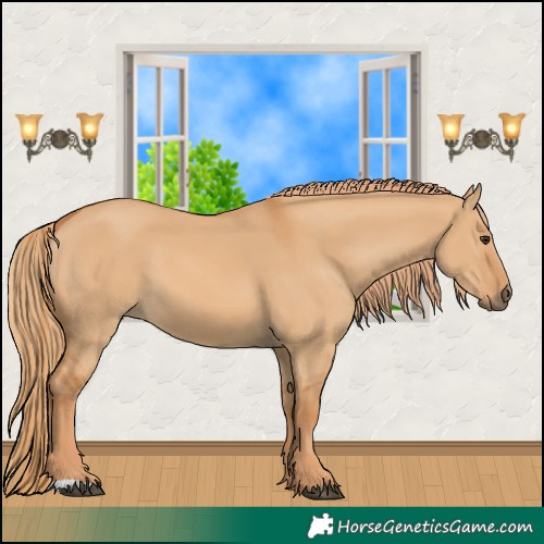 Horse Color:Red Dun