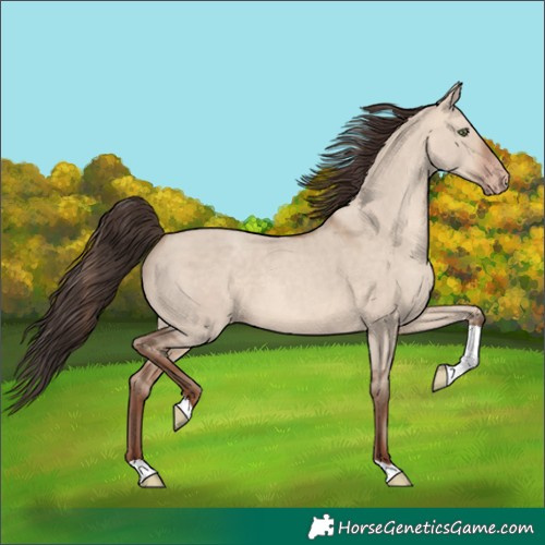 Horse Color:Sable Champagne Dun Tobiano 