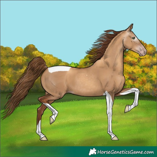 Horse Color:Gray Gold Champagne Dun Tobiano 