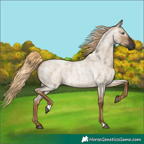 Horse Color:Gray Chocolate Palomino Roan Dun 