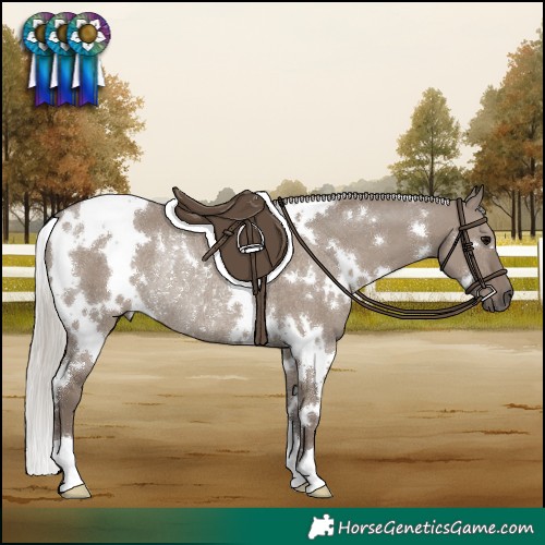 Horse Color:White Spotted Silver Grullo Rabicano 