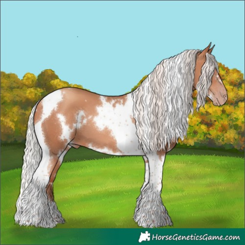 Horse Color:White Spotted Silver Classic Champagne Tobiano