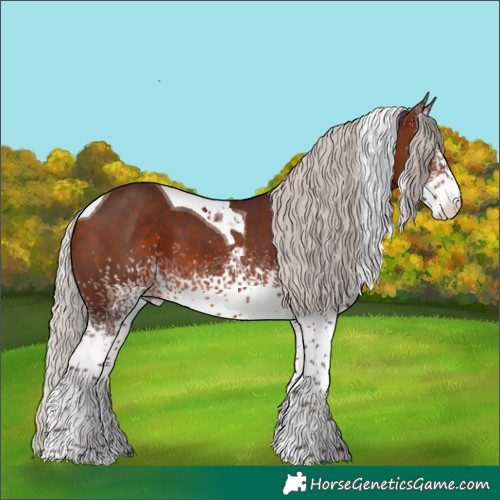 Horse Color:White Spotted Silver Brown Tobiano