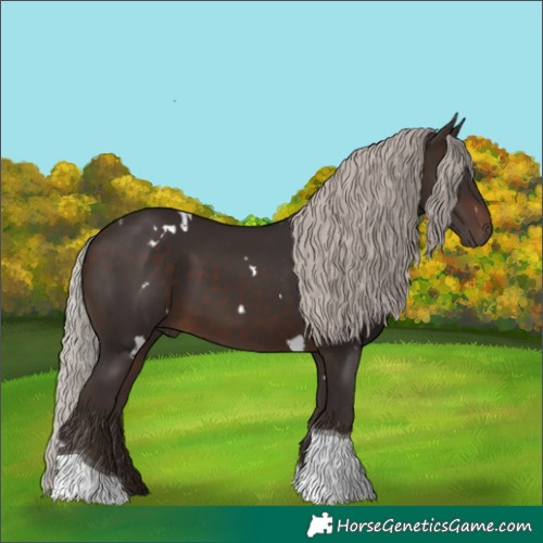 Horse Color:White Spotted Silver Brown Tobiano